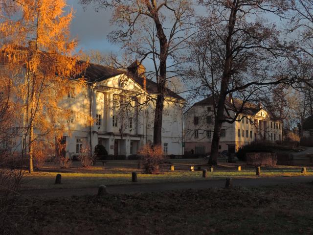 Rudens